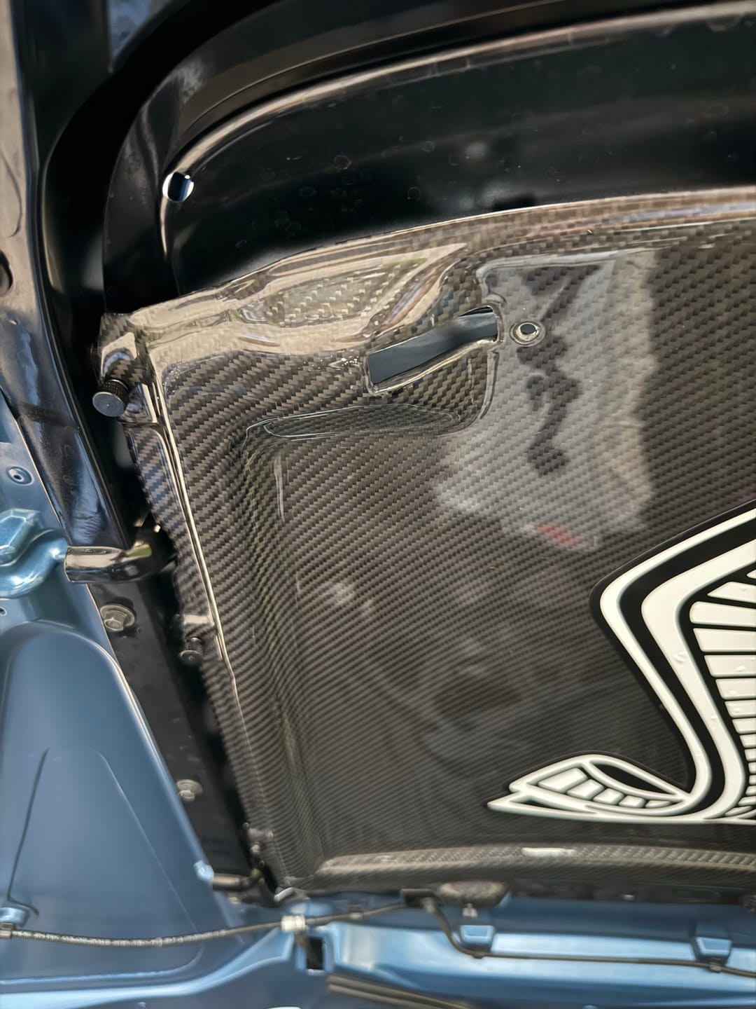 Customer photo review of 2020-23 Ford Mustang GT500 Carbon Fiber Rain Tray Cover