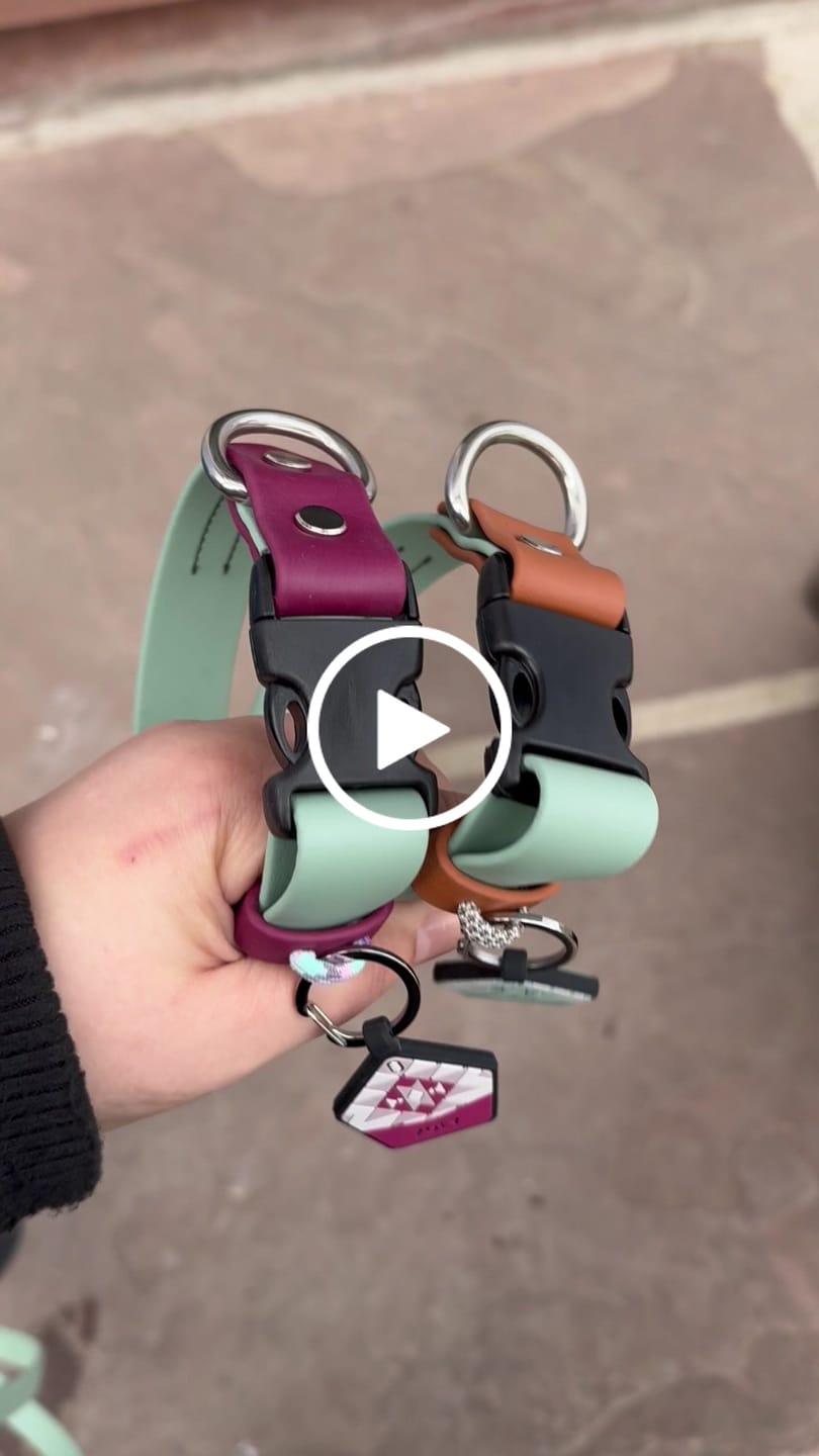 Customer video review of Peppermint Green - Silent Dog ID Tag