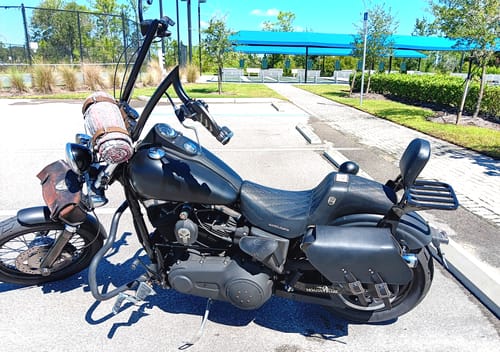 Customer photo review of H-D® Dyna Left Side Solo Bag - DL01