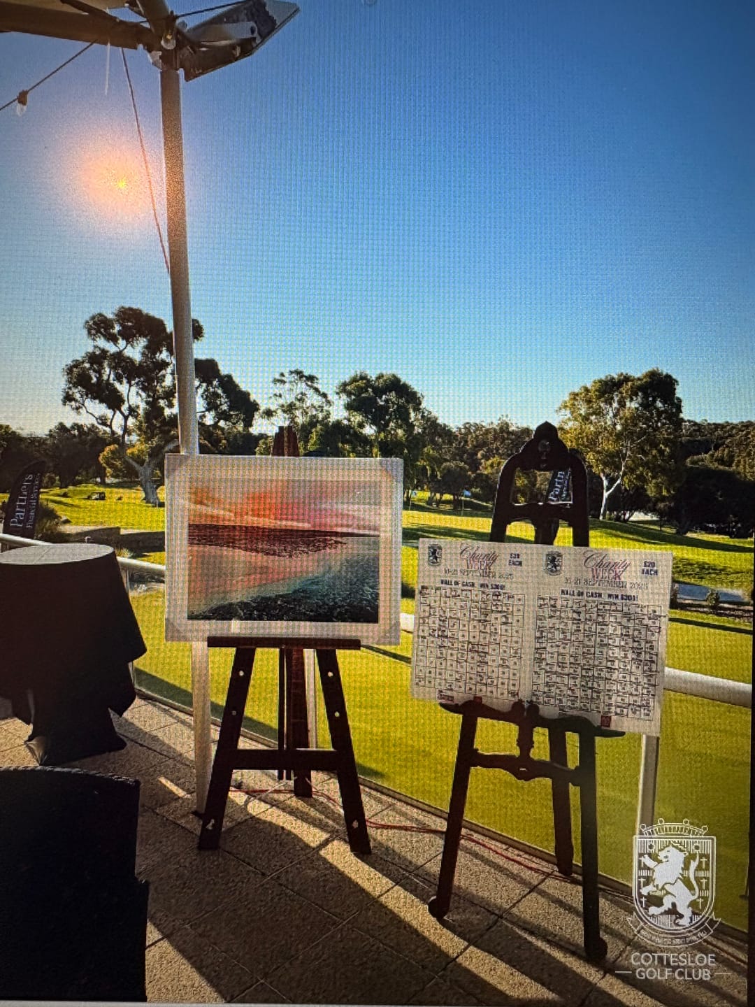 Customer photo review of SW2285 - Turquoise Bay