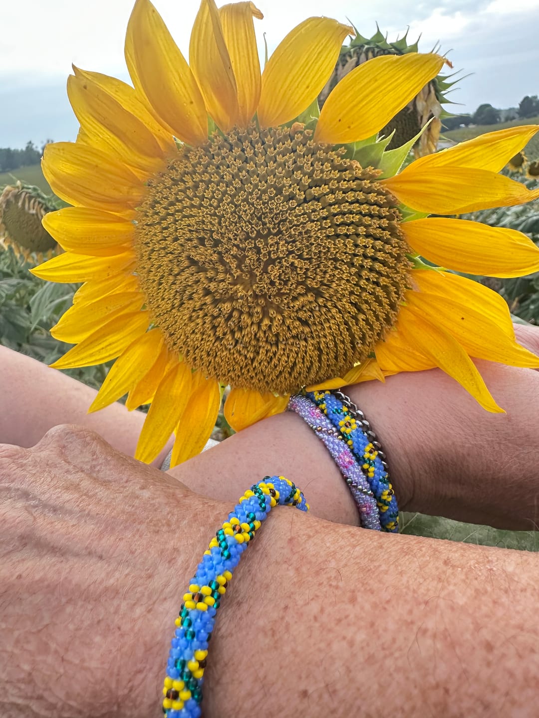 Customer photo review of Sunflowers for Ukraine