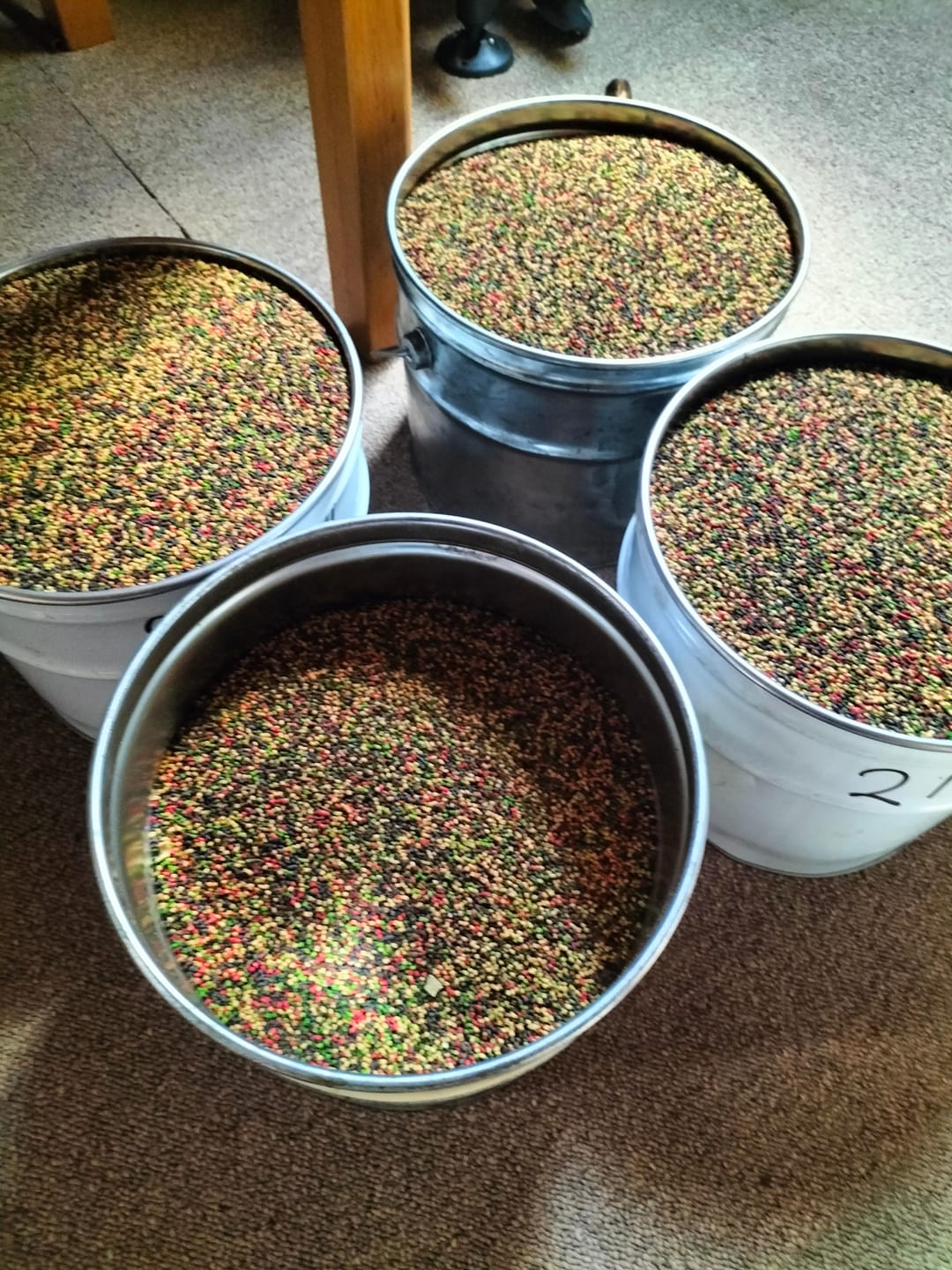 Customer photo review of FLAVOURED PELLETS 1kg