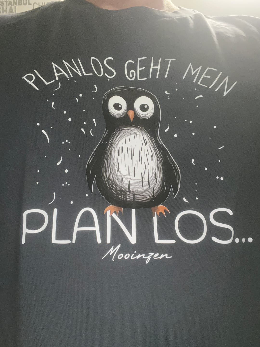 Customer photo review of Planlos geht mein Plan los  · Herren Premium Bio T-Shirt