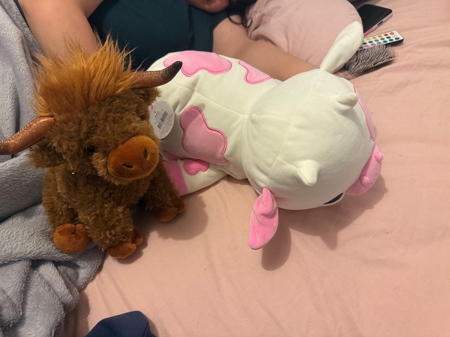 Customer photo review of Clover the Strawberry Cow Weighted HugaLump Animal Plush 1.5kg Medium