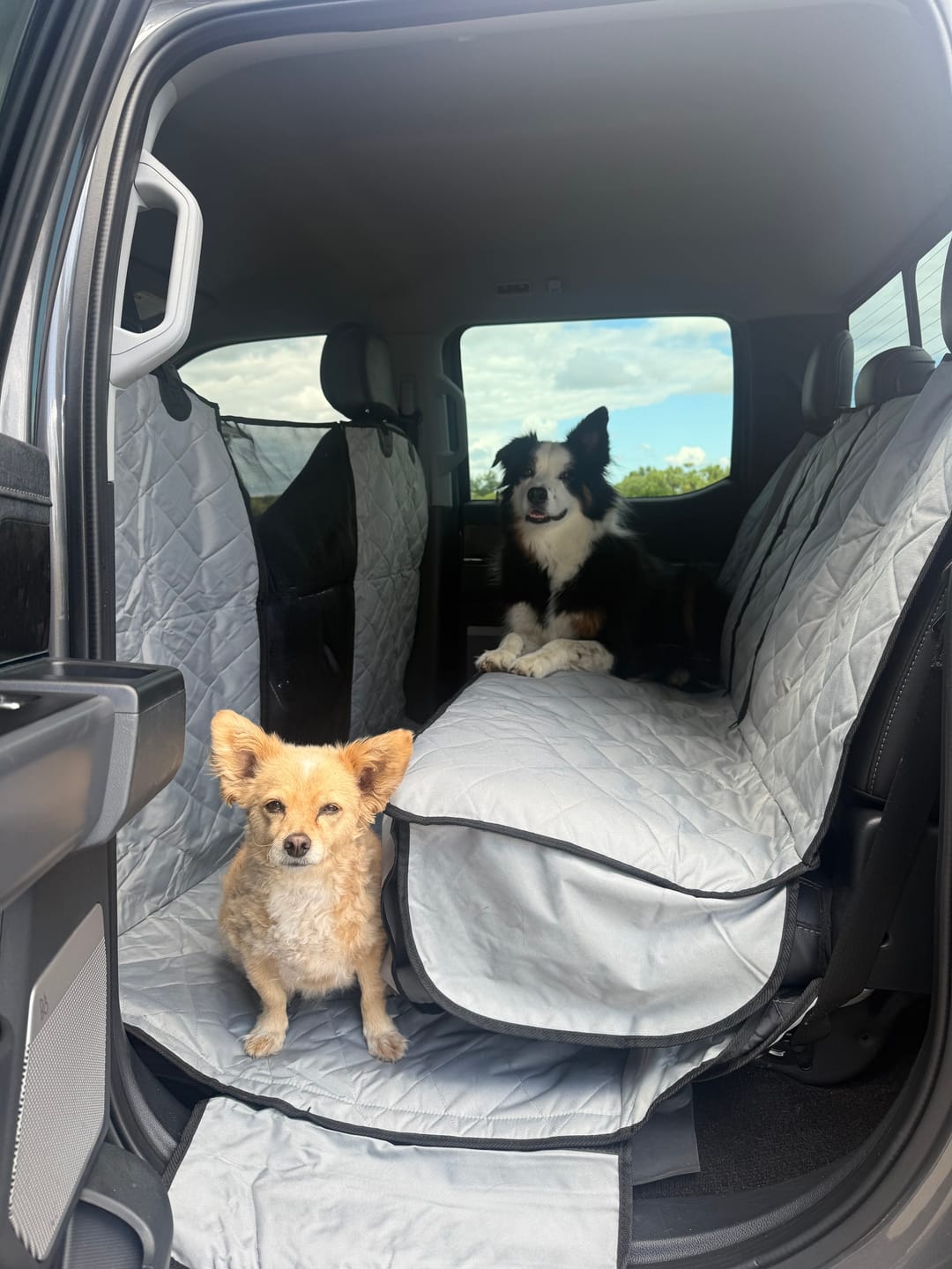 Customer photo review of Floor Hammock for Crew Cab Trucks - Passenger Side