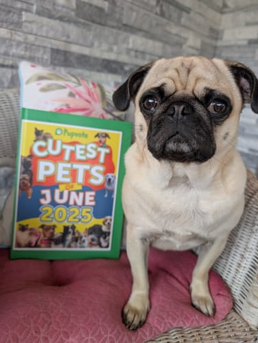Customer photo review of Cutest Pets of the Month 2025 Photobook