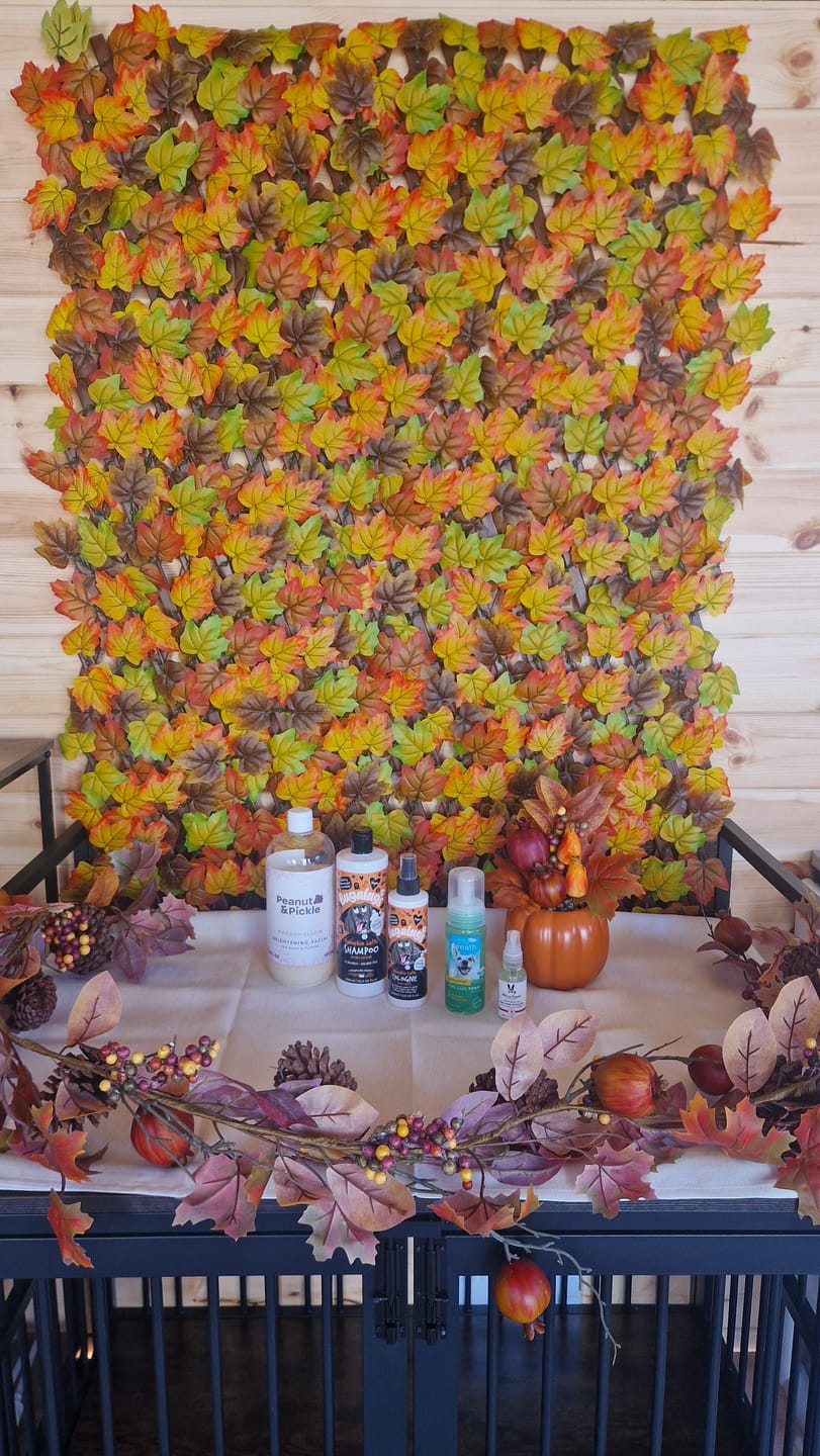 Customer photo review of Spooky Edition: Pumpkin Latte Bundle (Shampoo + Cologne)