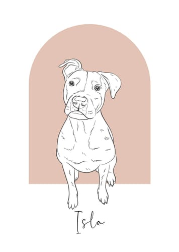 Customer photo review of Custom Pet Sketch