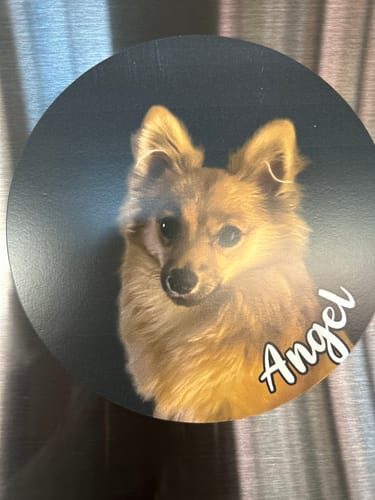 Customer photo review of Your photo - Personalized Car Magnet