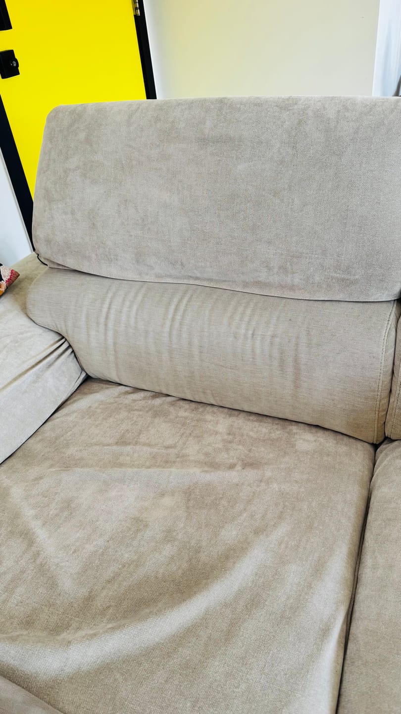 Customer photo review of Performance+ Couch Covers