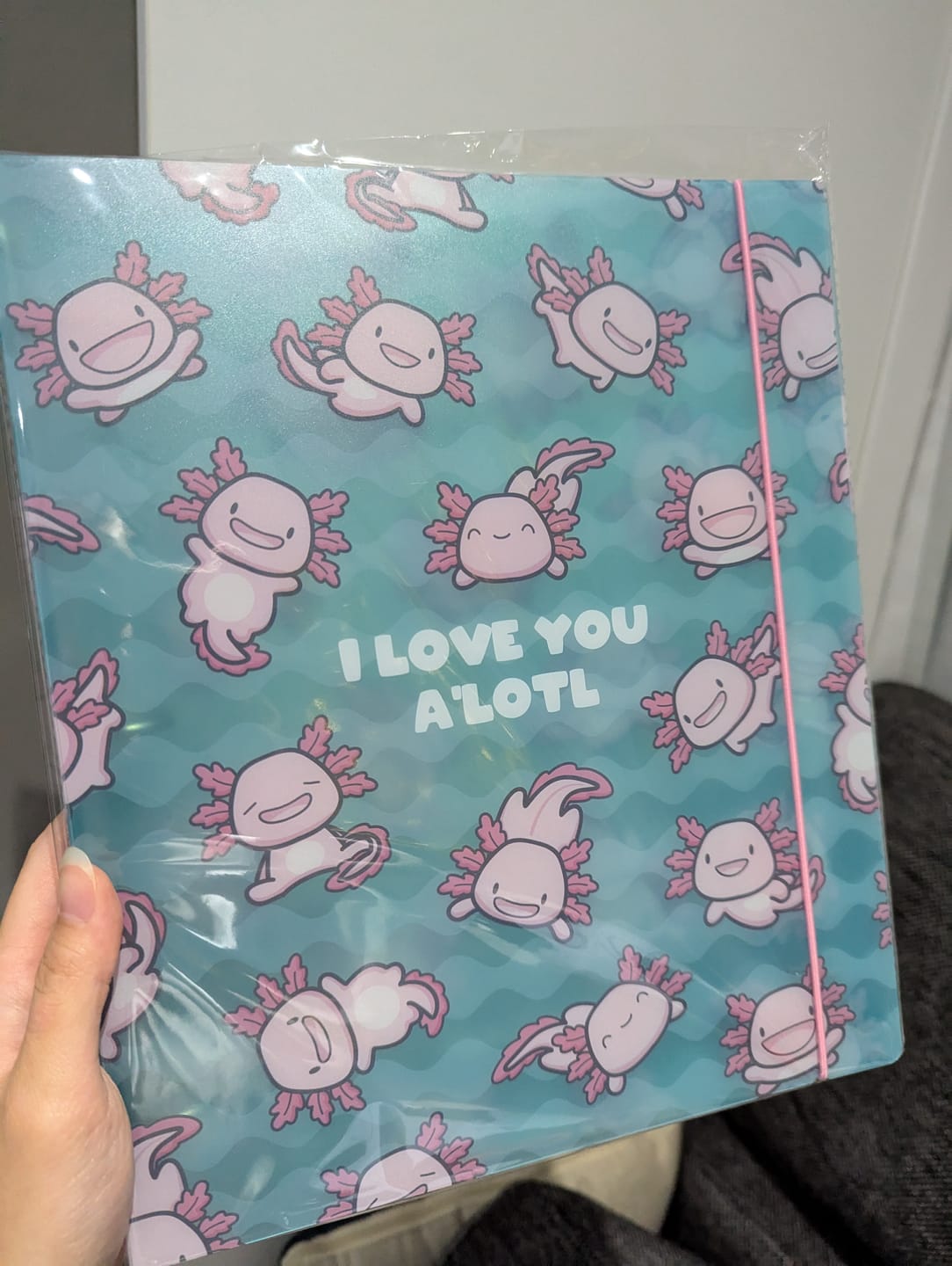 Customer photo review of Medium Storage Pockets