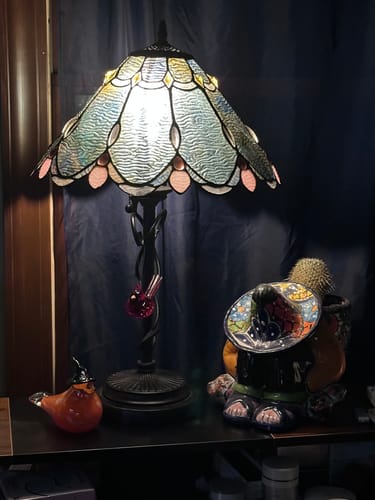 Customer photo review of Halloweenie Bird Paperweight