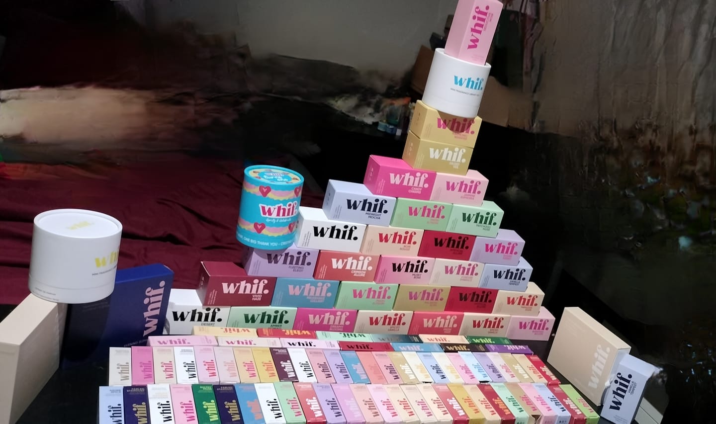 Customer photo review of Desert Jasmine