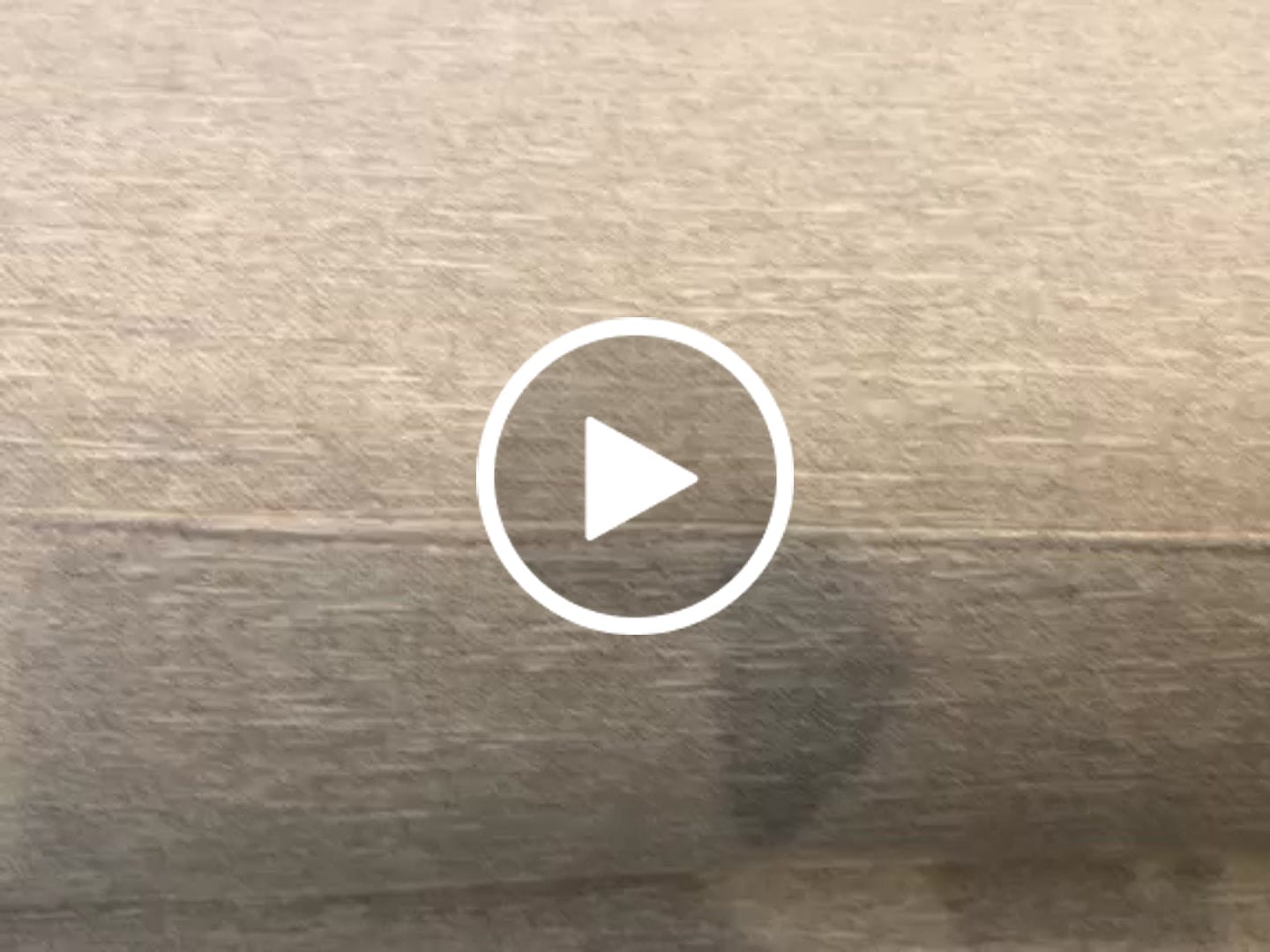 Customer video review of Elite Comfort Sectional