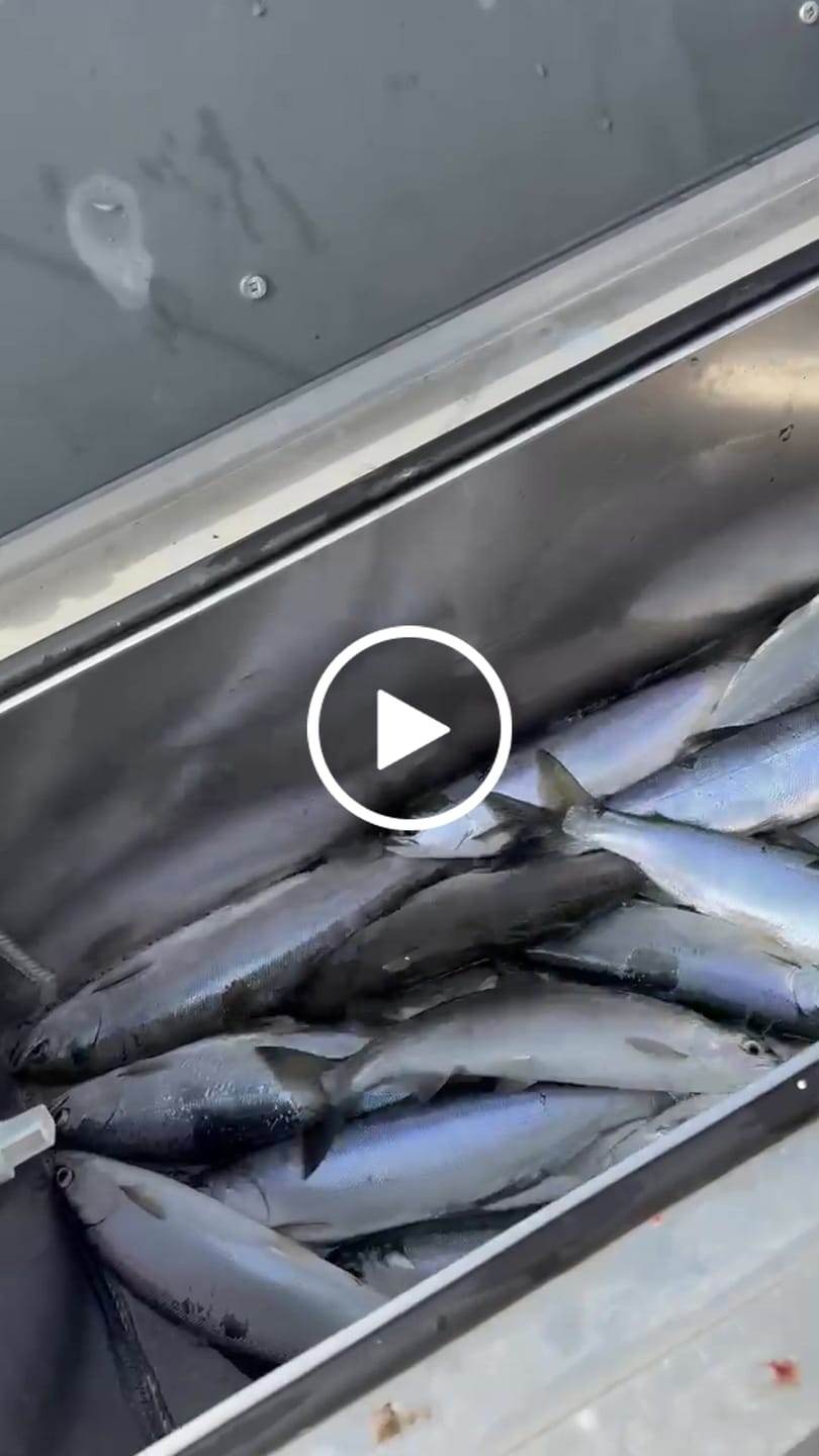 Customer video review of 8 Strand Braided Fishing Line Series - Super Sleek & Smooth Braided Fishing Line - High Performance Fishing Line For Saltwater & Freshwater