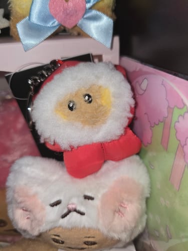 Customer photo review of [Official] BT21 KEYRING "WINTER EDITION" MINI MININI