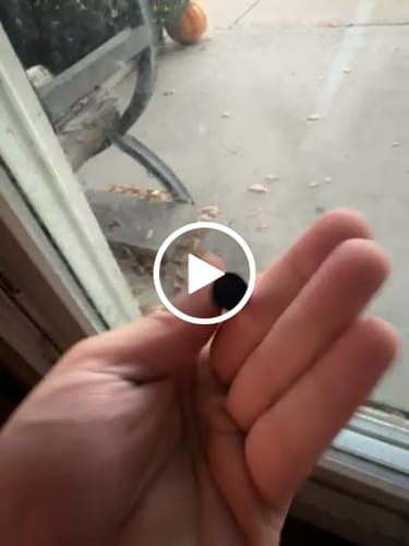 Customer video review of Kamikaze Disposable (.5g) - Tier 2