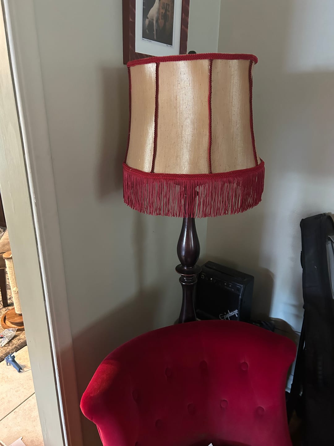 Customer photo review of Alice Classic Woven Braid Trim  (Sold by the Yard)