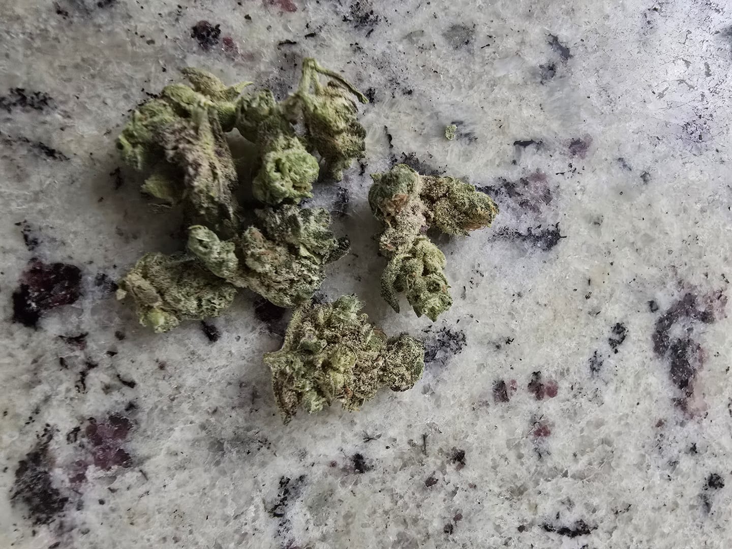 Customer photo review of Wedding Cake - Greenhouse THCA (Smalls)