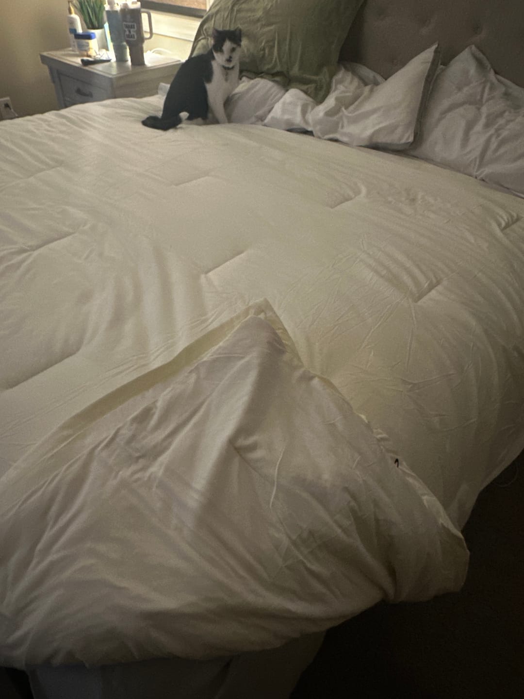 Customer photo review of Temperature Control Dual-Layer Comforter