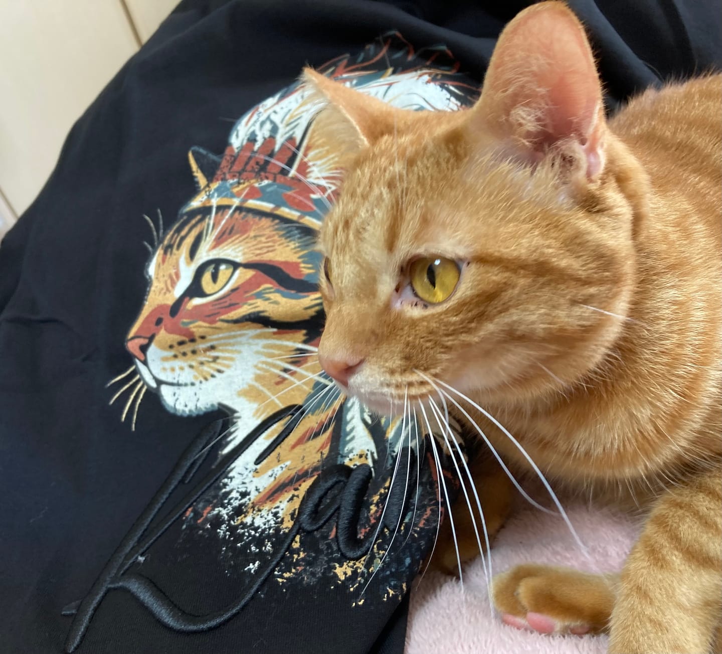 Customer photo review of 「インディアン酋長猫」プリント＆karaku刺繍入りコットンTシャツ