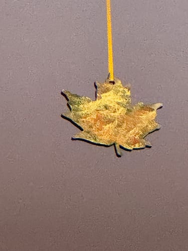 Customer photo review of Unfinished Wood Maple Leaf Shape - Craft - up to 46" DIY
