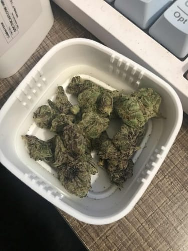 Customer photo review of FREE SAMPLE (with code) THCa Flower