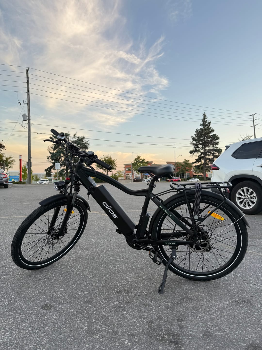 Customer photo review of oiios Voltus