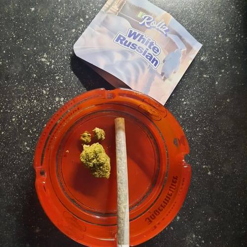 Susanne S. review of Cartel Cola THC-A Blüten image 1 out of 1