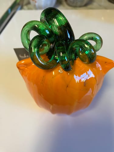Customer photo review of Orange Cat-kin Pumpkin