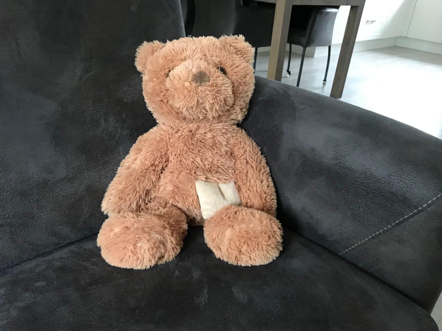 Customer photo review of Verzwaringsknuffel Beer 2,2 kg + Gratis Pittenzakje
