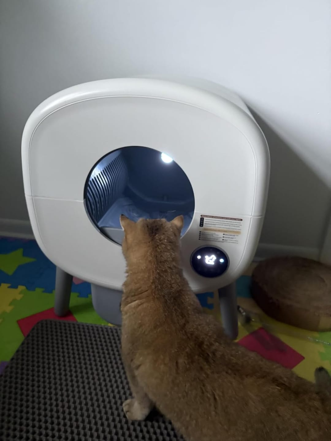 Customer photo review of Cumrige M2 Smart Self-Cleaning Litter Box | 95L Extra-Large Automatic Cat Litter Box
