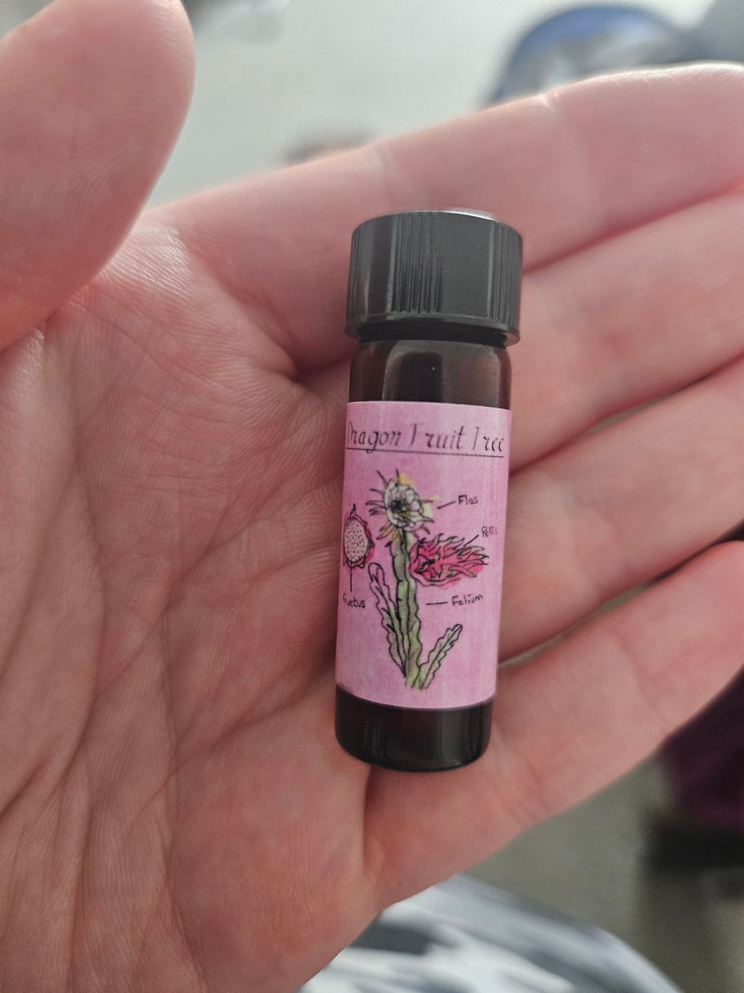 Customer photo review of Dragon Fruit Tree