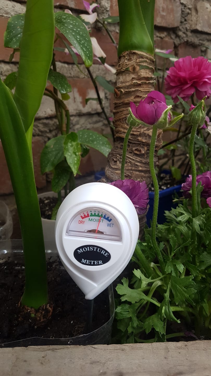 Customer photo review of Medidor de Humedad para Sustrato y Suelo – Horticulturachile