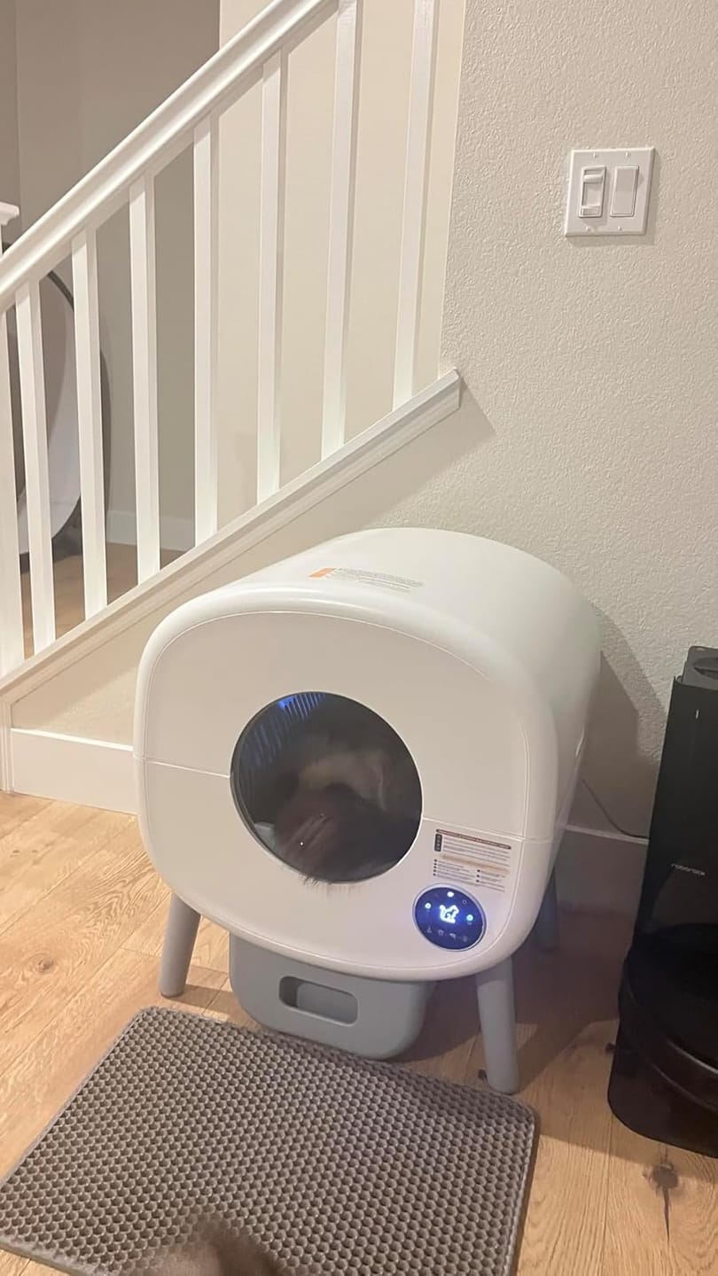 Customer photo review of Cumrige M2 Smart Self-Cleaning Litter Box | 95L Extra-Large Automatic Cat Litter Box