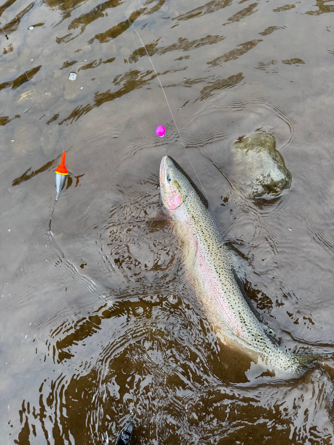 Customer photo review of Stealth STX Floats