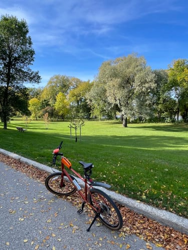 Customer photo review of Top Tube Bike Bag-Waterproof