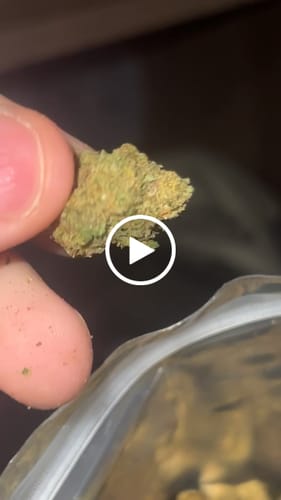 Customer video review of THCA Flower Budget Buds