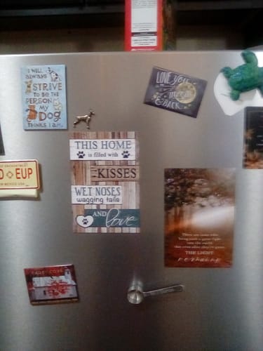 Customer photo review of The Light Remains Magnet - SN124M