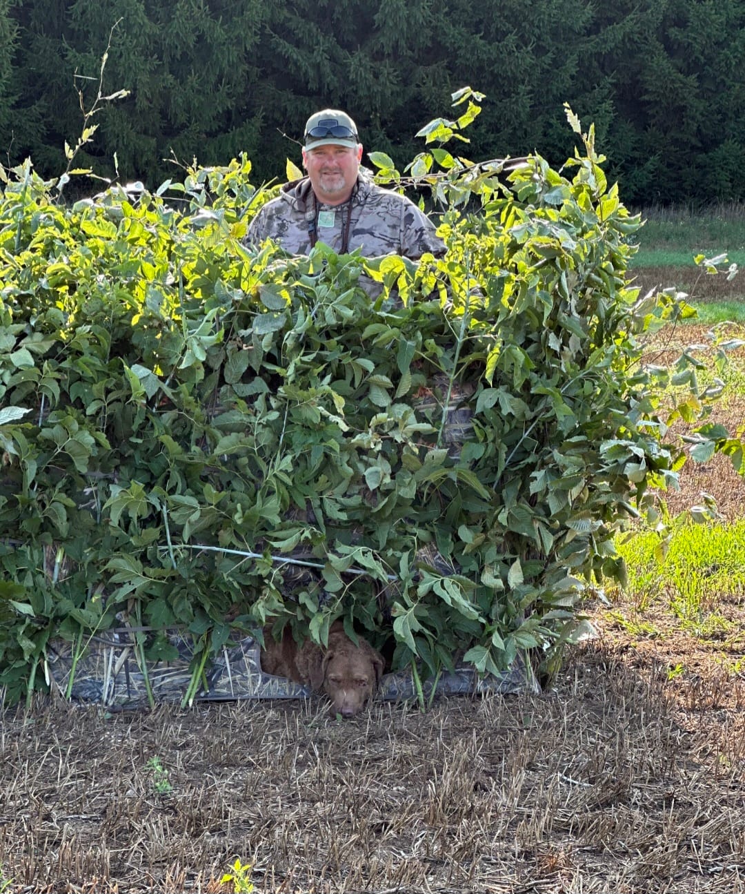 Customer photo review of Tidewe Panel Ground Blind for Duck Hunting