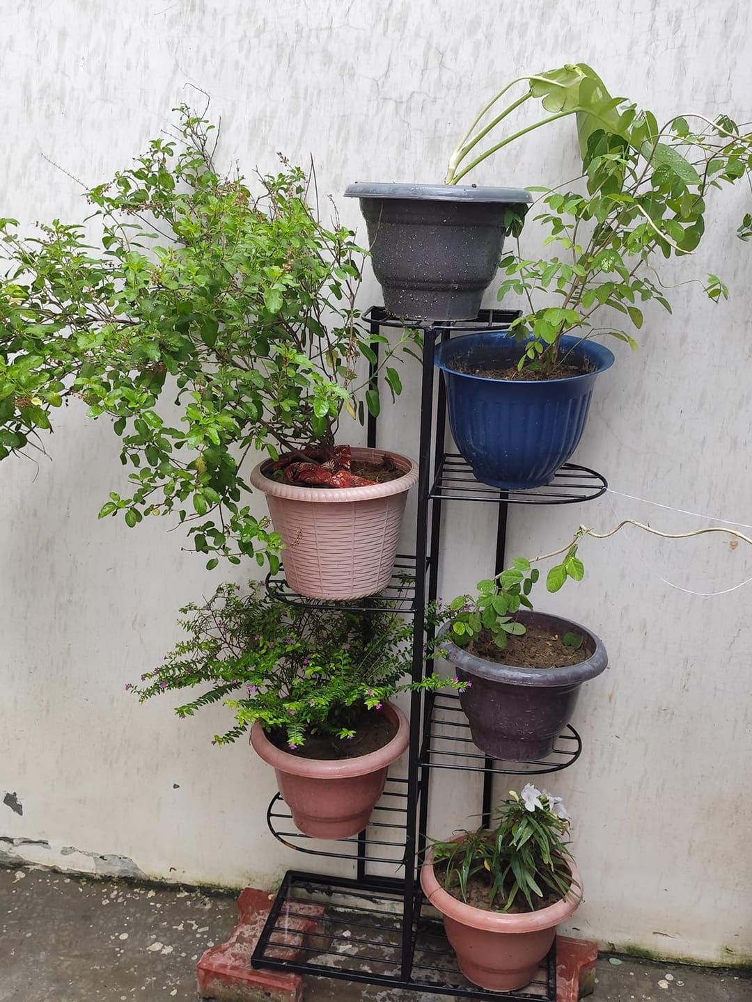Customer photo review of 6-Tier Metal Plant Stand for 7 Pots – Indoor Outdoor Flower Shelf, Corner Planter Rack for Garden, Patio, Balcony & Living Room