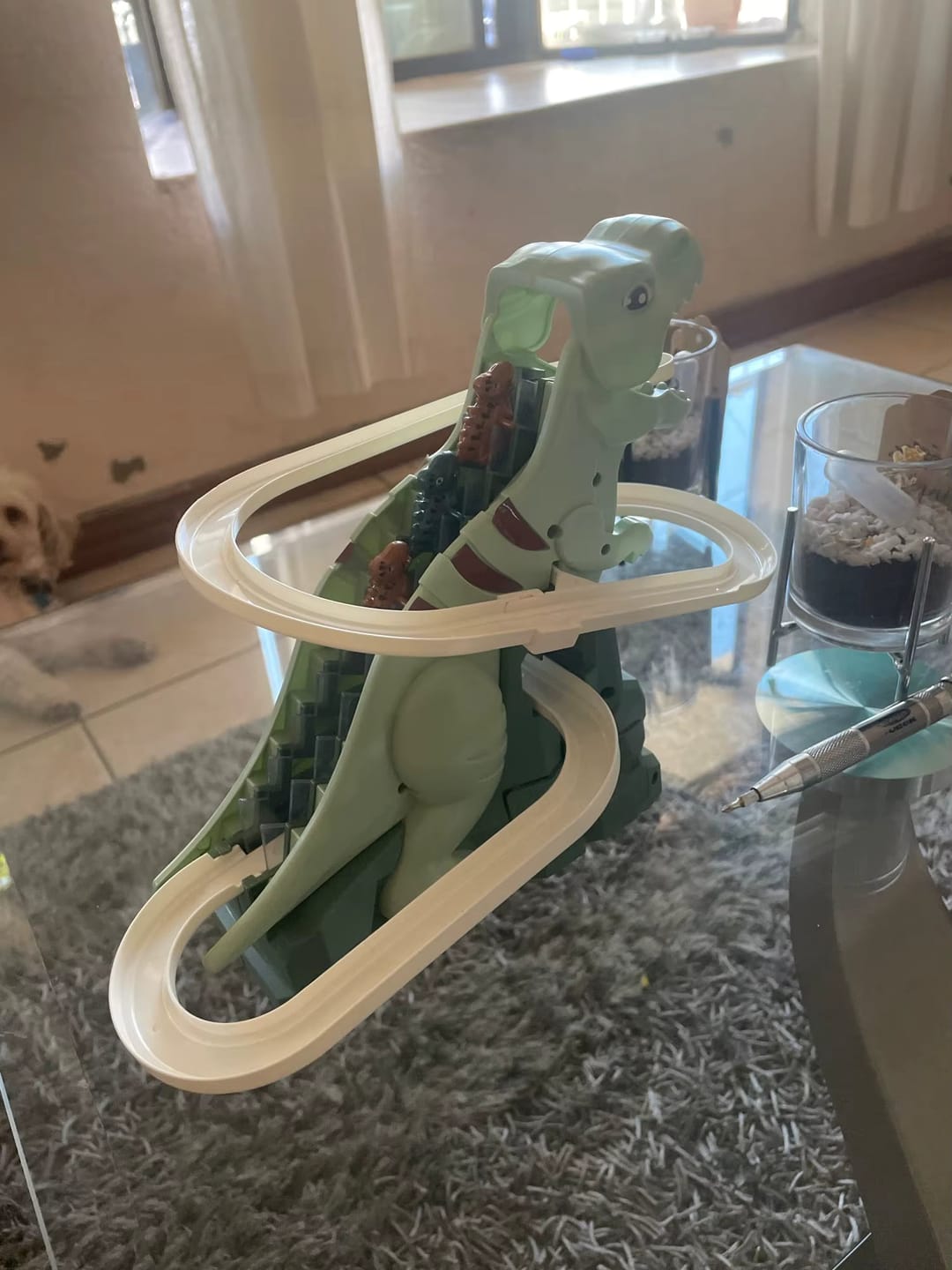 Customer photo review of Circuit de Courses Dinosaures Rapide et Dynamique