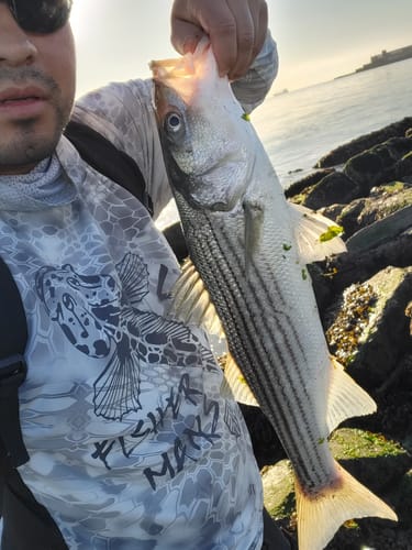 Customer photo review of (YOUTH) UPF Sun Shirt with Mask (YOUTH)