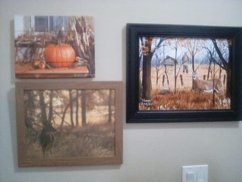 Customer photo review of Peaceful Whitetail by Summer Snow SN353