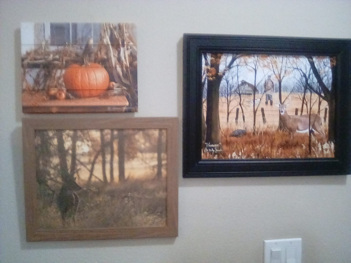 Customer photo review of Peaceful Whitetail by Summer Snow SN353