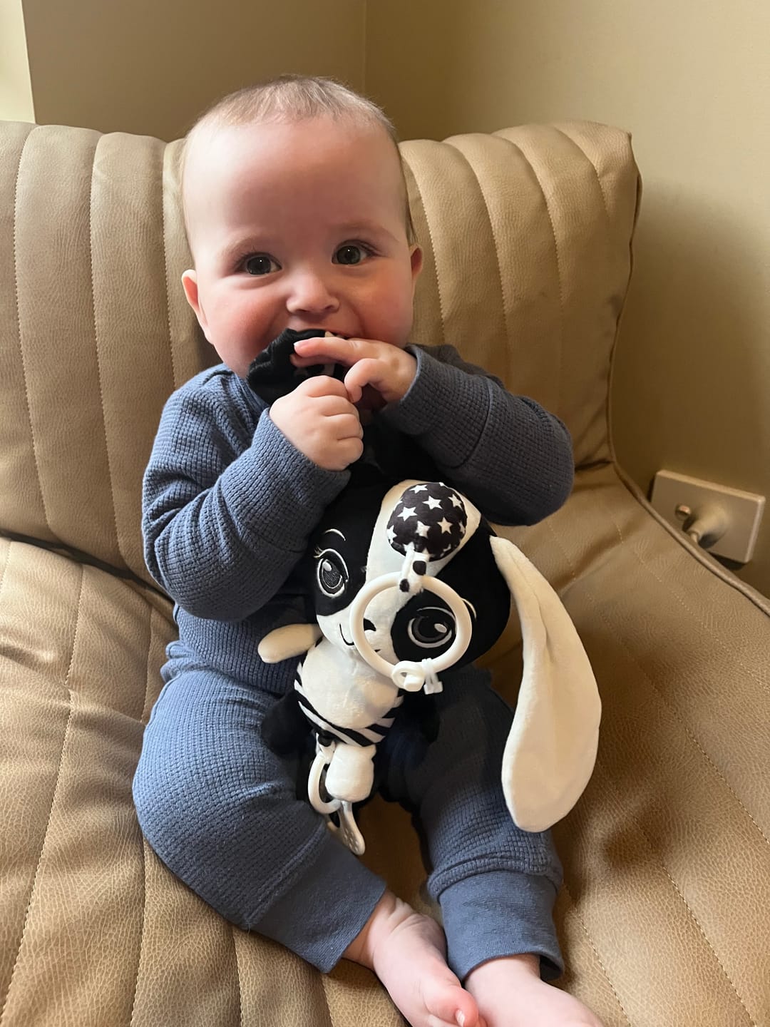 Customer photo review of Billie the Bunny – High Contrast Sensory Hanging Toy