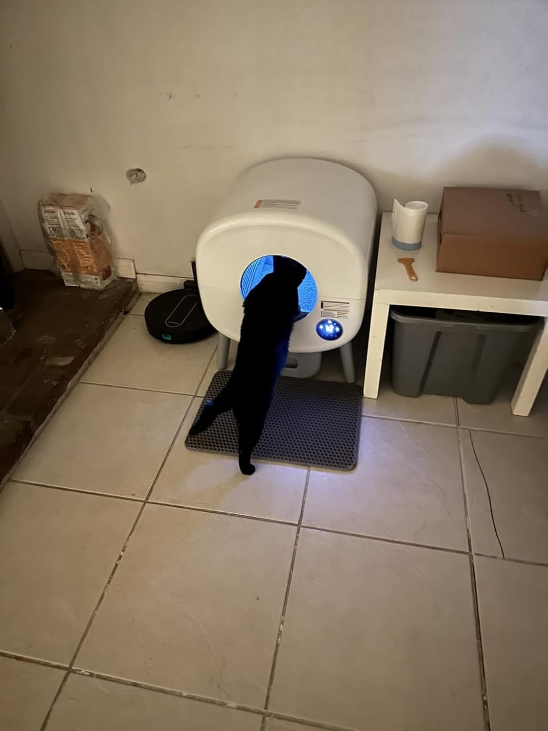 Customer photo review of Cumrige M2 Smart Self-Cleaning Litter Box | 95L Extra-Large Automatic Cat Litter Box