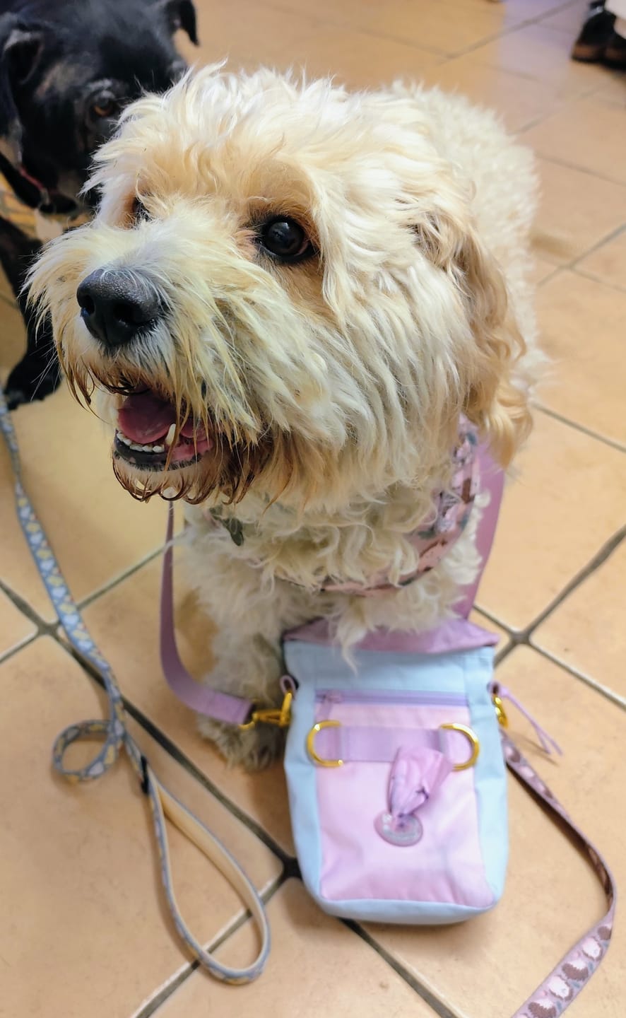 Customer photo review of Treat Pouch