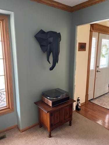 Customer photo review of 3D Elephant Head Wall Art