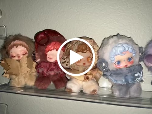 Customer video review of SKULLPANDA L'impressionnisme Series Plush Doll